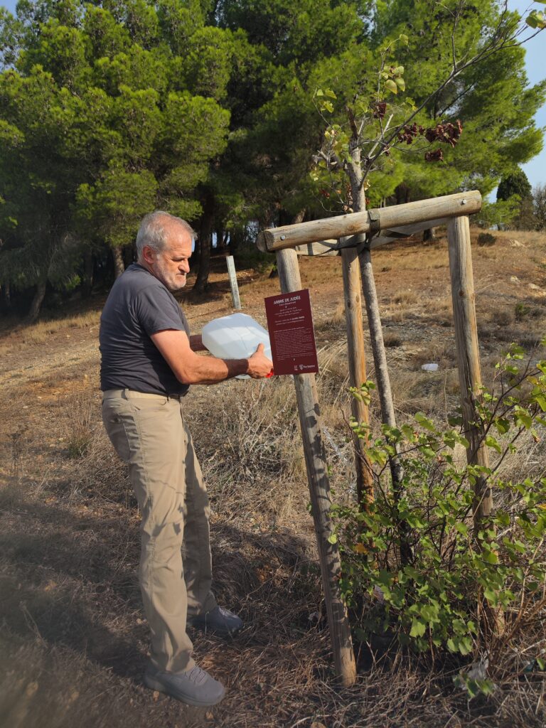 François arrose l'arbre de Judée.
