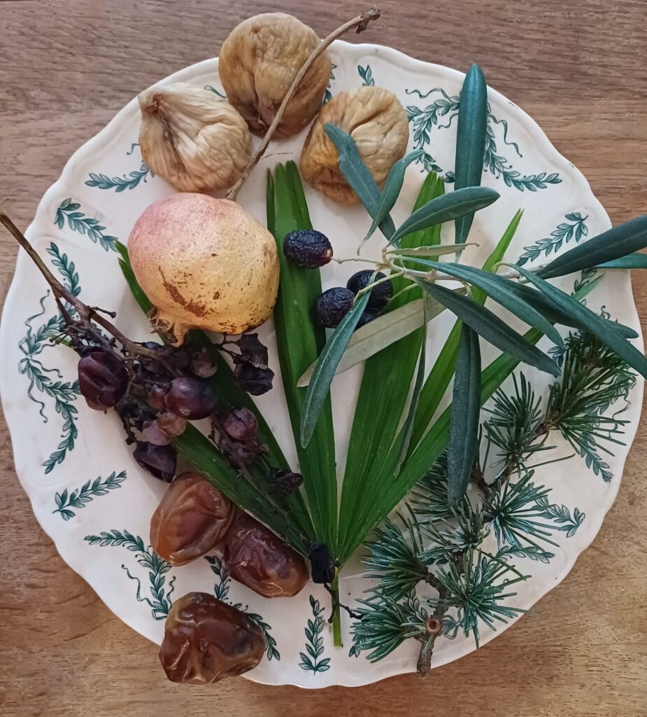 Assiette de Tou Bishvat.